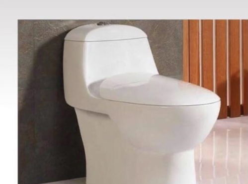 十年衛(wèi)浴銷售專家揭秘 選對(duì)馬桶，潔凈廁所長(zhǎng)久無(wú)憂